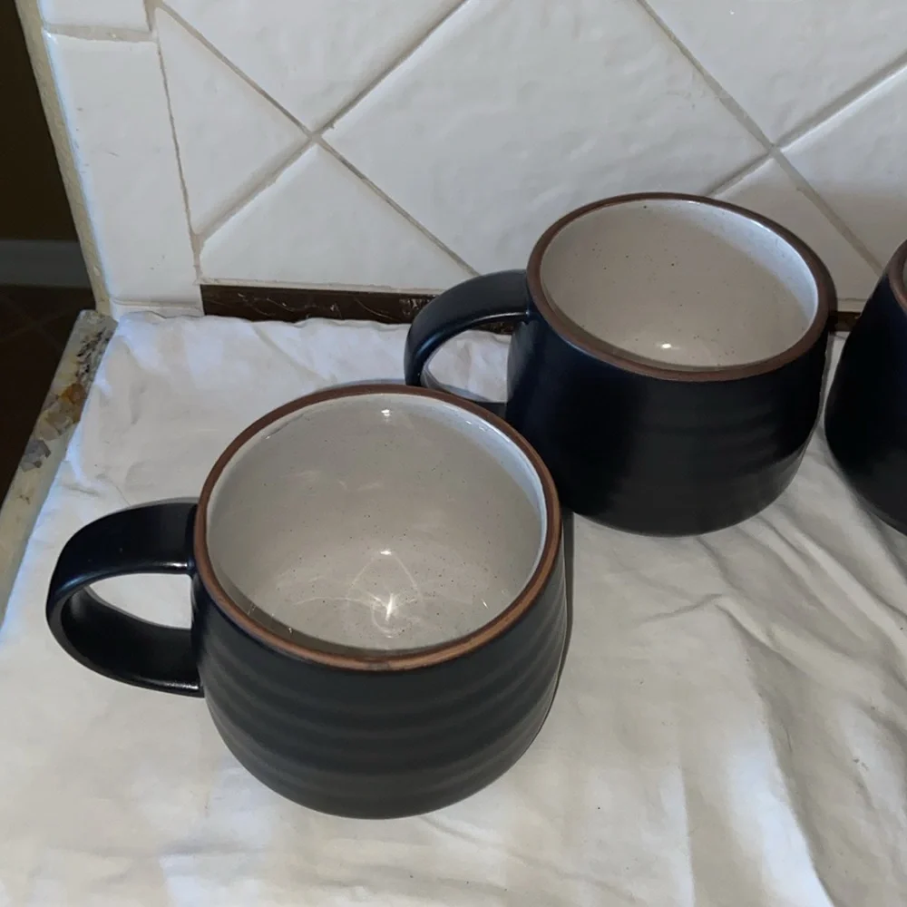 Like new set of 4 Crate & Barrel 18th Street Mugs Boho Rustic Stoneware